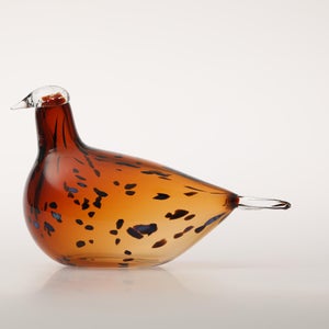 Birds Pekkasiini コッパーブラウン 0249