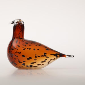 Birds Pekkasiini コッパーブラウン 0250