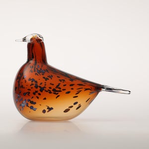 Birds Pekkasiini コッパーブラウン 0251