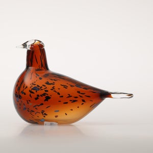 Birds Pekkasiini コッパーブラウン 0252