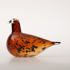 Birds Pekkasiini コッパーブラウン 0253