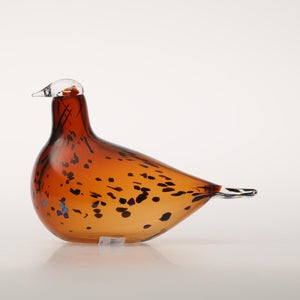 Birds Pekkasiini コッパーブラウン 0254