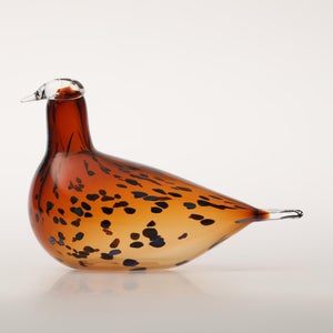 Birds Pekkasiini コッパーブラウン 0256