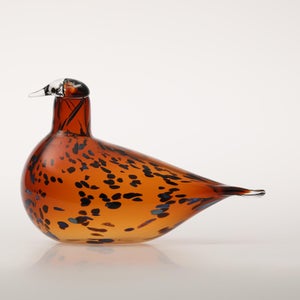 Birds Pekkasiini コッパーブラウン 0257