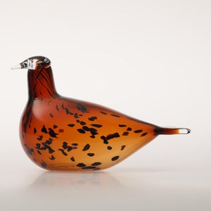 Birds Pekkasiini コッパーブラウン 0258