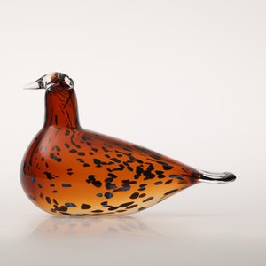 Birds Pekkasiini コッパーブラウン 0259