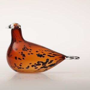 Birds Pekkasiini コッパーブラウン 0261