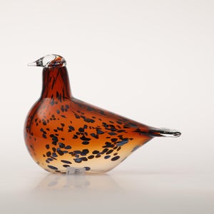 Birds Pekkasiini コッパーブラウン 0262