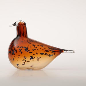 Birds Pekkasiini コッパーブラウン 0263