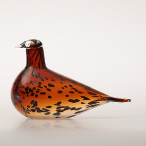 Birds Pekkasiini コッパーブラウン 0264