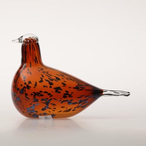 Birds Pekkasiini コッパーブラウン 0265