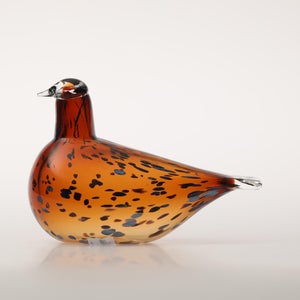 Birds Pekkasiini コッパーブラウン 0266