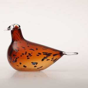 Birds Pekkasiini コッパーブラウン 0269