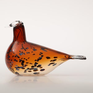 Birds Pekkasiini コッパーブラウン 0270