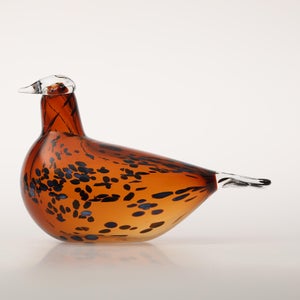 Birds Pekkasiini コッパーブラウン 0271