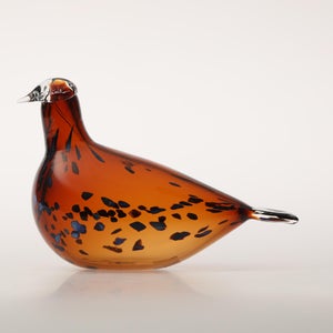 Birds Pekkasiini コッパーブラウン 0272