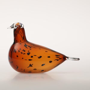 Birds Pekkasiini コッパーブラウン 0273