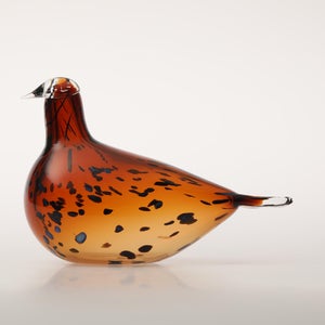 Birds Pekkasiini コッパーブラウン 0274