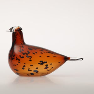 Birds Pekkasiini コッパーブラウン 0275