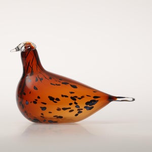 Birds Pekkasiini コッパーブラウン 0276