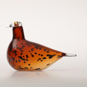 Birds Pekkasiini コッパーブラウン 0277