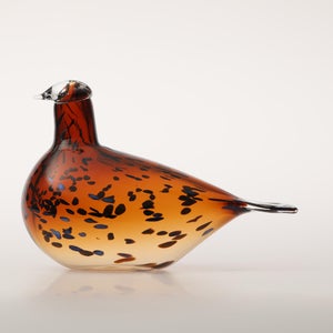 Birds Pekkasiini コッパーブラウン 0278