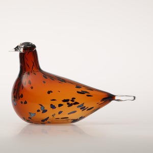 Birds Pekkasiini コッパーブラウン 0279