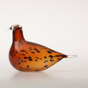 Birds Pekkasiini コッパーブラウン 0281