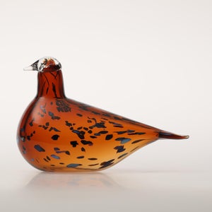 Birds Pekkasiini コッパーブラウン 0282