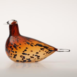 Birds Pekkasiini コッパーブラウン 0283