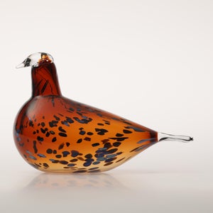 Birds Pekkasiini コッパーブラウン 0284