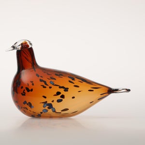 Birds Pekkasiini コッパーブラウン 0285