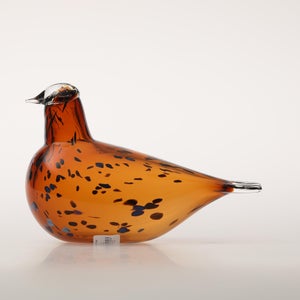 Birds Pekkasiini コッパーブラウン 0286