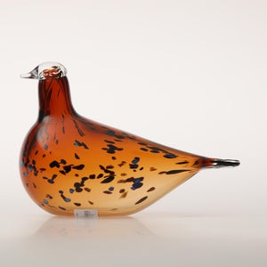 Birds Pekkasiini コッパーブラウン 0287