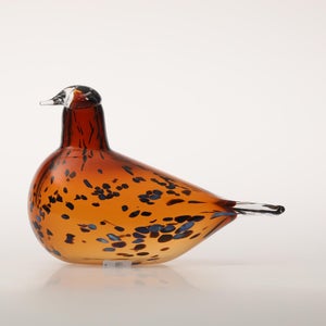 Birds Pekkasiini コッパーブラウン 0288