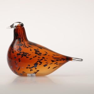 Birds Pekkasiini コッパーブラウン 0289