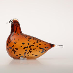 Birds Pekkasiini コッパーブラウン 0292