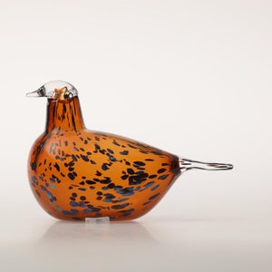 Birds Pekkasiini コッパーブラウン 0293