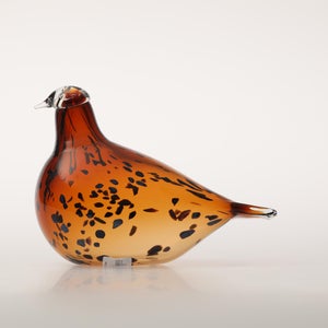 Birds Pekkasiini コッパーブラウン 0294