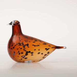 Birds Pekkasiini コッパーブラウン 0295