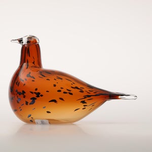 Birds Pekkasiini コッパーブラウン 0297