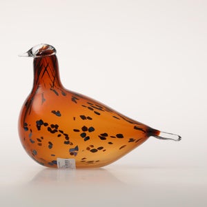 Birds Pekkasiini コッパーブラウン 0298