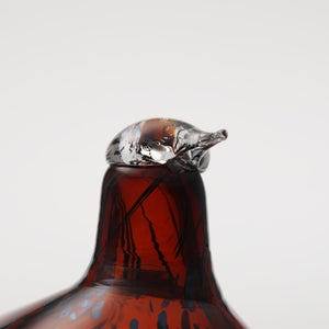 Birds Pekkasiini コッパーブラウン 0023