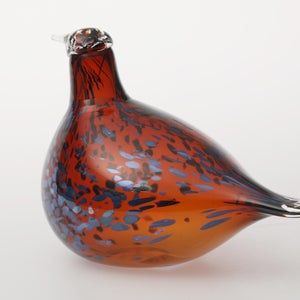 Birds Pekkasiini コッパーブラウン 0037