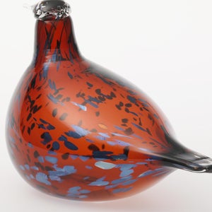 Birds Pekkasiini コッパーブラウン 0042