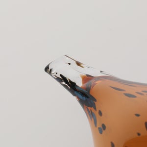 Birds Pekkasiini コッパーブラウン 0061