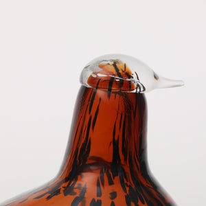 Birds Pekkasiini コッパーブラウン 0070