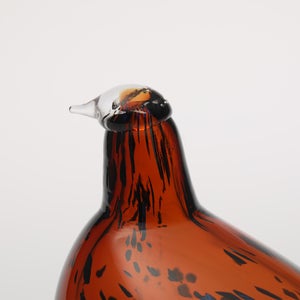 Birds Pekkasiini コッパーブラウン 0074