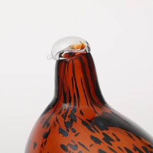 Birds Pekkasiini コッパーブラウン 0079