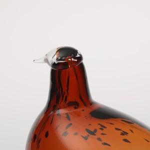 Birds Pekkasiini コッパーブラウン 0093